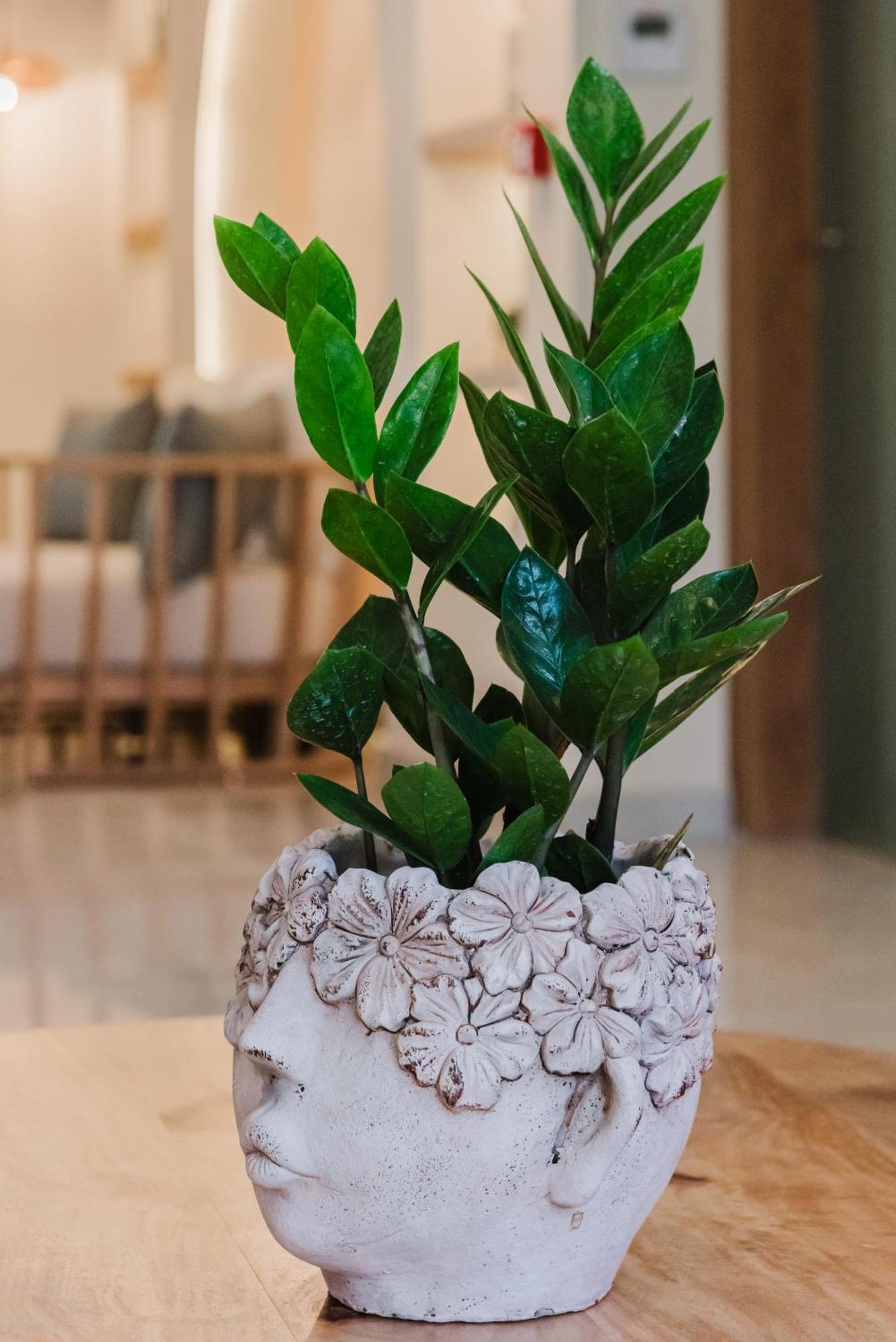 Evexia Boutique & Hotel Agia Marina (Crete)